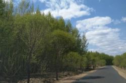 赤峰寧城縣火化場(chǎng)電話號(hào)碼