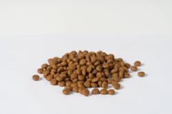 內(nèi)蒙赤峰狗糧批發(fā)電話號碼