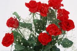 赤峰七夕賣花電話地址查詢