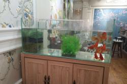 赤峰美家美戶墻布電話號碼