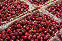 赤峰車厘子店鋪電話號碼查詢