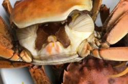 赤峰蟹都匯賣什么