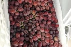 赤峰水果批發(fā)檔口老板電話號(hào)碼