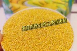 錦州赤峰小米售后電話號碼查詢