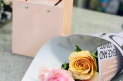 赤峰花店文竹店電話號(hào)碼查詢