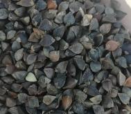 赤峰橋北蕎麥?zhǔn)召?gòu)電話號(hào)碼