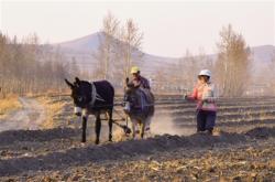 赤峰楊樹林中醫(yī)院電話號碼