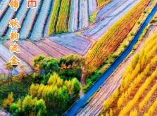 赤峰市盛年商貿(mào)公司電話號(hào)碼