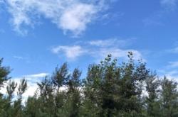 赤峰寧城彩磚廠地址電話號碼