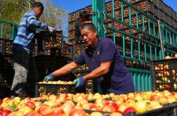 赤峰市松山區(qū)開鎖電話