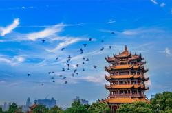 赤峰賓館鶴祥樓電話號碼多少