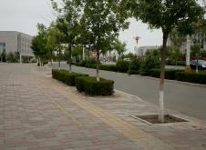 赤峰林東地稅局電話號(hào)碼