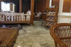 赤峰牡丹亭洗浴團(tuán)購電話號碼