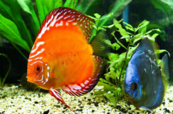 赤峰晨輝海洋館電話號(hào)碼