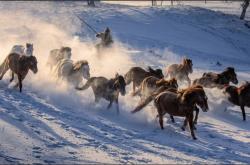 赤峰馬勒經(jīng)銷商地址電話號碼