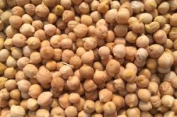 赤峰鷹嘴豆批發(fā)網(wǎng)站電話號碼