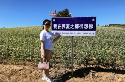 赤峰市慈善總會(huì)聯(lián)系電話