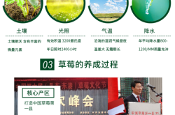 赤峰市壞果包賠電話號(hào)碼