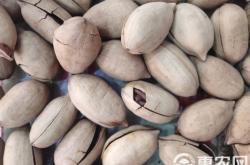 赤峰賣干果夜市地址電話號碼