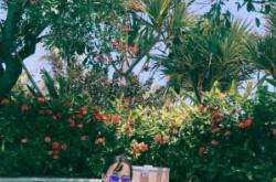 赤峰市索菲特酒店電話號碼