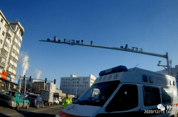 赤峰兒童救助站地址電話號碼