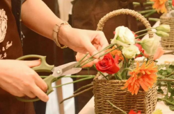 赤峰插花體驗館電話號碼查詢