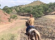 赤峰紅山牛仔店電話號(hào)碼多少