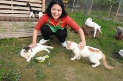 赤峰溜浪貓基地電話號碼