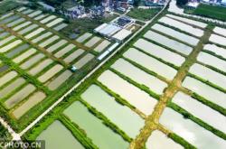 赤峰錦鯉養(yǎng)殖廠電話地址查詢