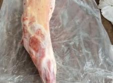 赤峰羊脊骨直播間電話號碼