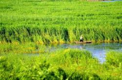 赤峰薰衣草基地電話號碼查詢