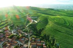 赤峰種植農(nóng)場地址電話號碼