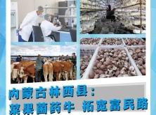 赤峰市林西縣叫車電話多少