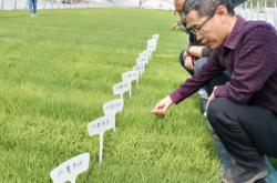 赤峰正方形化肥銷(xiāo)售電話號(hào)碼