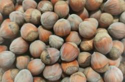 赤峰大榛子批發(fā)電話地址查詢