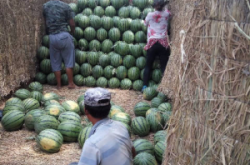 赤峰市王家店鄉(xiāng)政府電話號碼