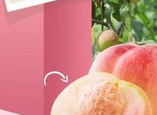 赤峰果趣鮮果店電話地址查詢