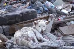 赤峰南山垃圾廠電話多少號(hào)