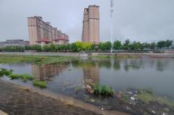 金州區(qū)赤峰街社區(qū)電話號碼