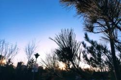 赤峰老虎山景區(qū)電話號碼是多少