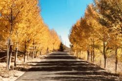 李家營子到赤峰客車電話號碼