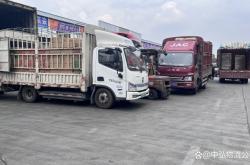 赤峰市物流電話