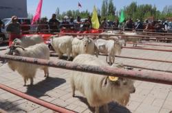 赤峰東黎俊景售房電話號(hào)碼