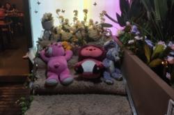 赤峰楓葉燒烤地址查詢電話號碼