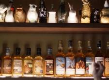 赤峰酒吧調(diào)酒招聘電話是多少號