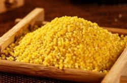 赤峰大廟小米廠電話多少號