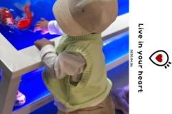 赤峰抓魚游樂場(chǎng)地址電話號(hào)碼