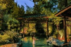 赤峰賓館燒烤小院電話多少號