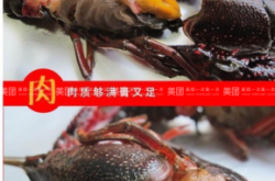 赤峰小龍蝦優(yōu)惠團(tuán)購網(wǎng)電話號(hào)碼