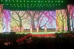 赤峰少兒藝術(shù)電視臺(tái)電話號(hào)碼